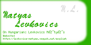 matyas levkovics business card